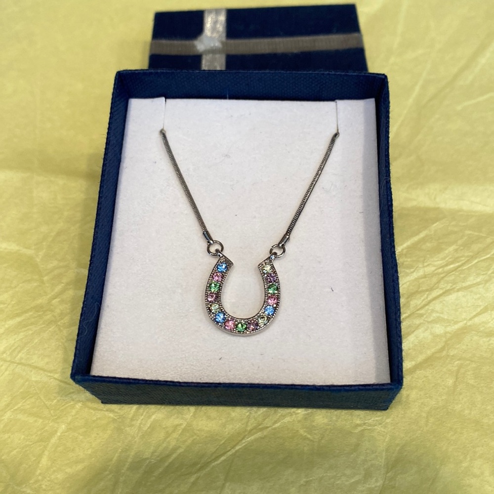 NOT FOR SALE: NWT’s Horseshoe Necklace!